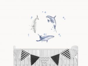 Whale Decals
