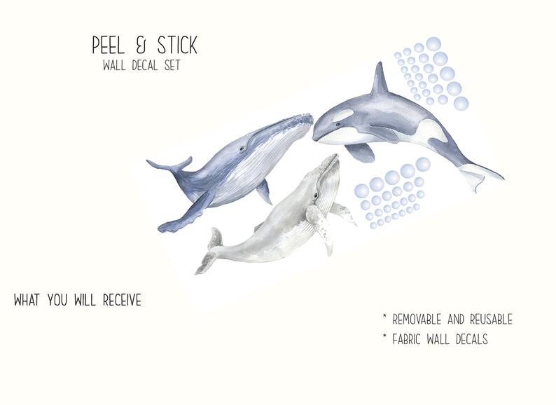 Whale Decals 02 Whale Decals