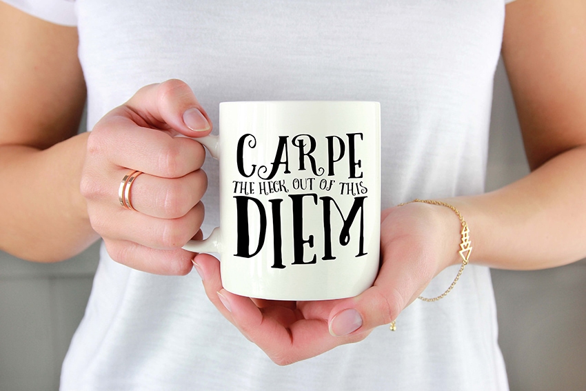 CARPE THE HECK OUT OF THIS DIEM CARPE THE HECK OUT OF THIS DIEM