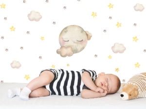 Sleeping Moon Decals | Dreaming Joey